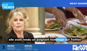 Saint-Tropez en proie à l'angoisse pour sa chère icône Brigitte Bardot !