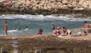 Réchauffement climatique : la mer Méditerranée bat son record de température avec 28,71°C