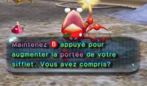 Pikmin 2 online multiplayer - ngc