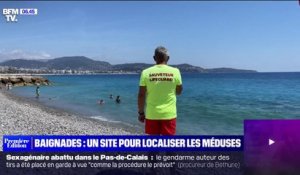 Alpes-Maritimes: une carte participative vous indique sur quelles plages se trouvent des méduses