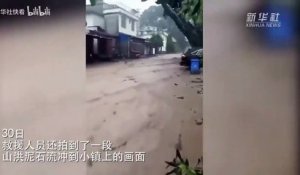 Cet idiot tente de traverser une rue inondée en Chine