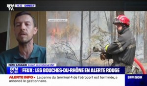 Risque d'incendies dans les Bouches-du-Rhône: "On a une végétation qui est propice à la propagation des incendies", indique Rémi Savazzi (expert international de l'Office national des forêts)