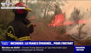 Incendies: la France cinq fois moins touchée que l'an dernier au 1er août