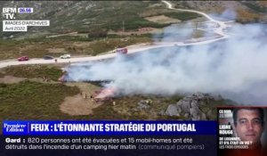 Le Portugal fait office de modèle dans la lutte contre la prévention des feux de forêt