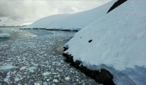 Les scientifiques alertent sur les températures extrêmes en antarctique