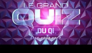 "Le grand quiz du QI" : quelle génération a remporté l'émission samedi soir ?