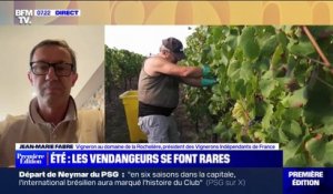 Vendanges: "Deux tiers des vignerons indépendants ne peuvent pas compléter leurs équipes" explique Jean-Marie Fabre (Vignerons indépendants de France)