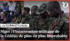 Coup d'Etat au Niger: l'intervention militaire de la Cédéao de plus en plus improbable
