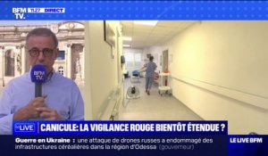 Pierre Hurmic, maire de Bordeaux, détaille les mesures prises dans la ville pour faire face à la canicule