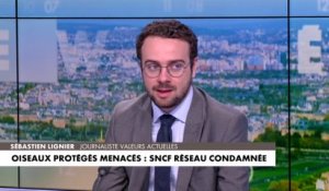 Sébastien Lignier : «Je ne suis pas certain que sauver deux trois petits oiseaux et embêter la SNCF à longueur de journée ne règle le problème de la biodiversité en France»