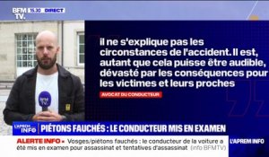 Piétons fauchés dans les Vosges: le conducteur de la voiture mis en examen pour "assassinat" et "tentatives d'assassinat"