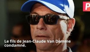 Le fils de Jean-Claude Van Damme condamné !
