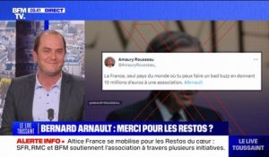 Don de Bernard Arnault aux Restos du cœur: les réactions des députés LFI