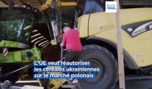 Les agriculteurs polonais craignent le retour des céréales ukrainiennes sur leur marché