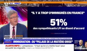 Immigration: "Je crois à la créolisation", affirme Jean-Luc Mélenchon