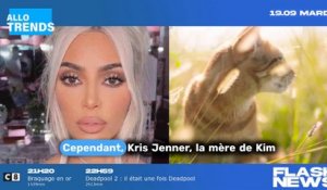 La surprenante œuvre d'art réalisée par la fille de Kim Kardashian, North West !