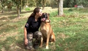 Abandonné, Looba devenu un chien gendarme obtient un prix pour son travail héroïque