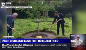 Visite de Charles III: les images de la plantation d'un arbre par le roi et Emmanuel Macron à l'ambassade du Royaume-Uni ce mercredi