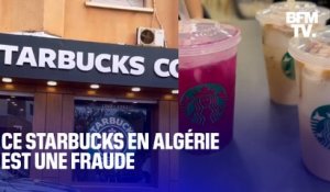 En Algérie, un café se fait passer pour un Starbucks et connaît un succès monstre