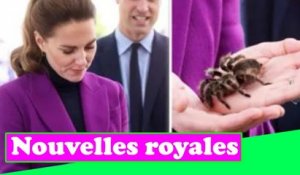 Sans peur! D@ring Kate dans une rencontre terrifiante avec une tarentule lors d'une visite royale