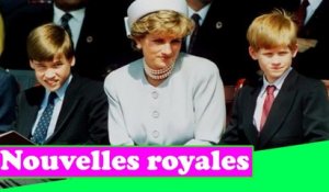 Le prince Harry dit que les fans de Diana pensaient "qu'ils la connaissaient mieux" que lui à sa mor