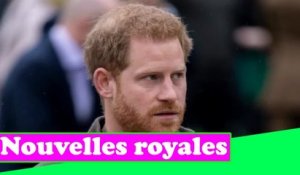 La faille du prince Harry est toujours «trop brute» pour William et les autres membres de la famille