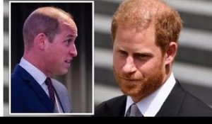 Le prince William «étonné» par le coup du prince Harry sur la relation des frères royaux