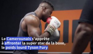 Boxe: association poids lourds entre Francis Ngannou et Mike Tyson