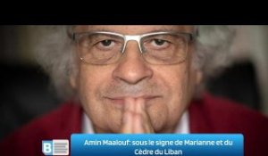 Amin Maalouf: sous le signe de Marianne et du Cèdre du Liban