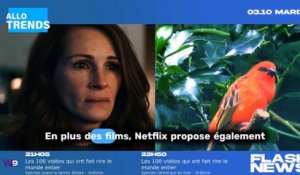 Julia Roberts fait sensation dans le thriller post-apocalyptique "Le Monde après nous" sur Netflix !