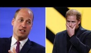 Le prince William "ne sait pas" pourquoi le prince Harry demande des excuses à la famille royale