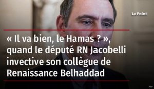 « Il va bien le Hamas ? », quand le député RN Jacobelli invective son collègue de Renaissance Belhaddad