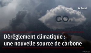 Dérèglement climatique : une nouvelle source de carbone