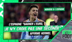 Norvège 0-1 Espagne : L'Espagne "gagner l'Euro, je n'y crois pas une seconde" affirme Hermel