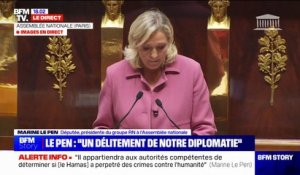 Israël/Hamas: Marine Le Pen (RN) critique la "folie promue par certains dans l'hémicycle" de l'Assemblé nationale qui "consiste à mettre un trait d'égalité entre un groupe armé terroriste et un état démocratique"