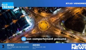 Delphine Wespiser : sa réaction surprenante à propos de l'affaire Stéphane Plaza dans TPMP : "je suis bouleversée" !