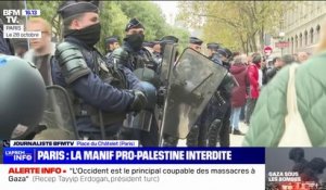 Manifestation pro-Palestine à Paris interdite: 80 verbalisations d'après la préfecture de police de Paris