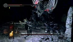 Dark Souls: Prepare to Die Edition online multiplayer - ps3