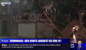 Arbres arrachés, voitures démolies, lignes électriques abîmées... la Gironde particulièrement touchée par la tempête Domingos
