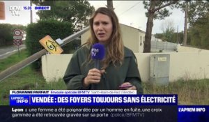 Tempête Domingos: 80 foyers privés d'électricité en Vendée