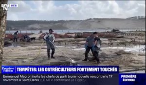 Les trois quarts des ostréiculteurs français touchés par la tempête Ciarán
