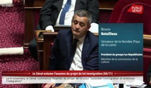 Immigration : "Si nous sommes persuadés qu’une ambiguïté subsiste, nous nous opposerons à ce texte"