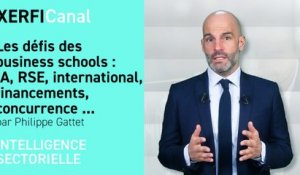 Les défis des business schools : IA, RSE, international, financements, concurrence ... [Philippe Gattet]