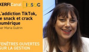 L'addiction TikTok, le snack et crack numérique  [Maria Guérin]