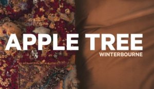Winterbourne - Apple Tree (Official Audio)