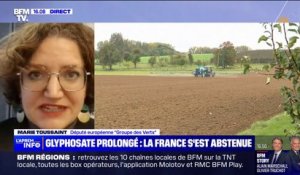 Autorisation du glyphosate prolongée: "Il y a des preuves flagrantes de sa toxicité" dénonce Marie Toussaint, députée européenne EELV