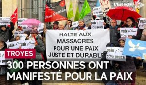 300 personnes ont manifesté pour la paix ce samedi 18 novembre à Troyes