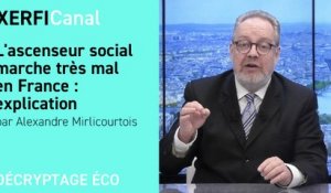 L'ascenseur social marche très mal en France : explication [Alexandre Mirlicourtois]