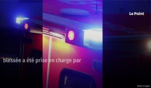 Attaque au couteau à Paris : un touriste allemand tué, l'assaillant interpellé