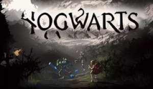 La promotion du siècle : 54% de réduction sur le jeu Harry Potter, Hogwarts Legacy !